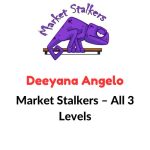 Market Stalkers – All 3 Levels Download