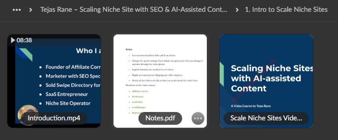 Tejas Rane – Scaling Niche Site with SEO & AI-Assisted Content Download