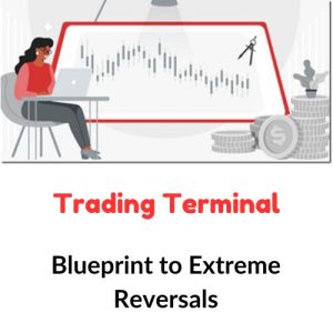 Trading Terminal – Blueprint to Extreme Reversals Download